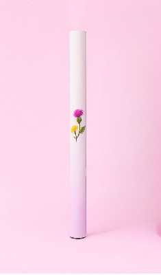 BreathePure™ Diffuser Pen